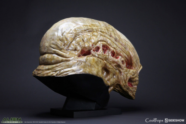 Newborn Alien Head Lifesize