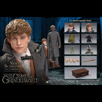 Newt Scamander