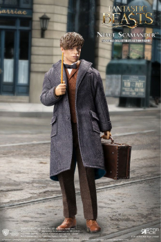 Newt Scamander