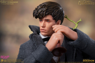 Newt Scamander