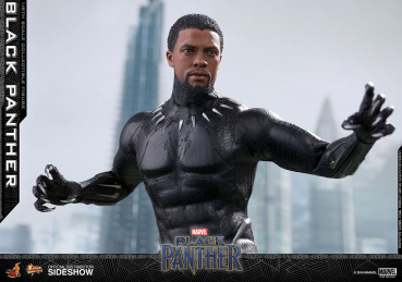 Black Panther Hot Toys