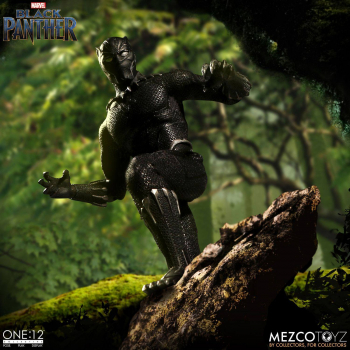 Black Panther One:12