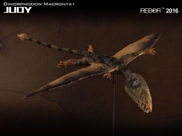 Dimorphodon macronyx "Judy" 1:6 Replik, 18 cm