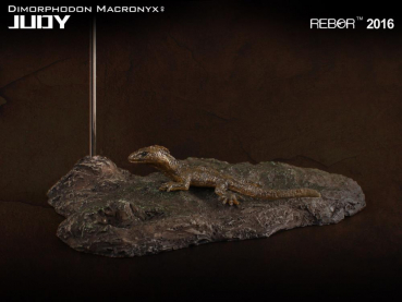 Dimorphodon macronyx "Judy" 1:6 Replik, 18 cm