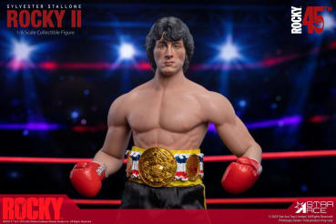 Rocky Balboa Action Figure 1/6 My Favourite Movie Deluxe, Rocky II, 30 cm