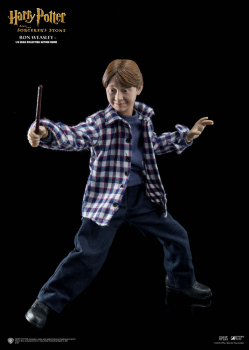 Ron Weasley 1/6