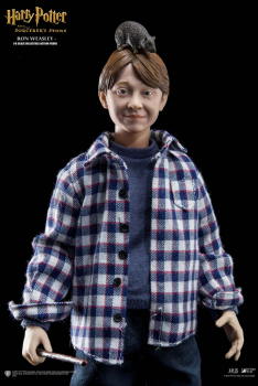 Ron Weasley 1/6