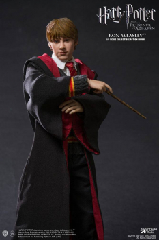 Ron Weasley 1/6