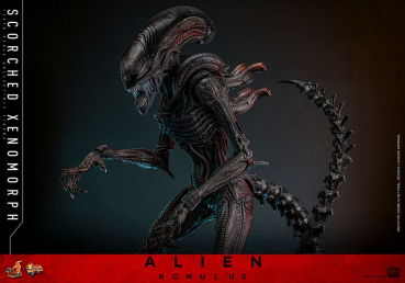 Scorched Xenomorph Actionfigur 1:6 Movie Masterpiece Series, Alien: Romulus, 44 cm