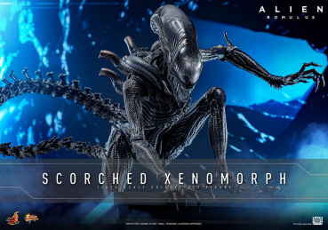 Scorched Xenomorph Actionfigur 1:6 Movie Masterpiece Series, Alien: Romulus, 44 cm