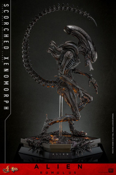 Scorched Xenomorph Actionfigur 1:6 Movie Masterpiece Series, Alien: Romulus, 44 cm