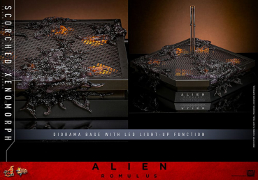 Scorched Xenomorph Actionfigur 1:6 Movie Masterpiece Series, Alien: Romulus, 44 cm