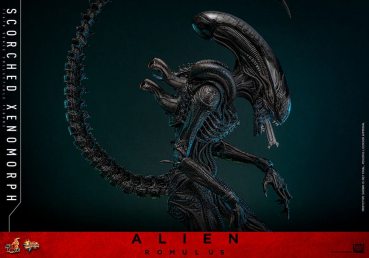 Scorched Xenomorph Actionfigur 1:6 Movie Masterpiece Series, Alien: Romulus, 44 cm