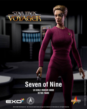 Seven of Nine Actionfigur 1:6, Star Trek: Voyager, 29 cm