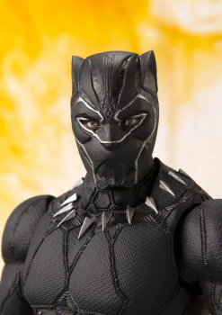 SHF Black Panther