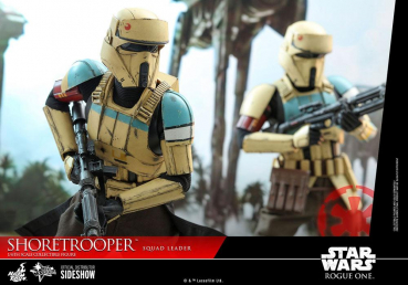 Shoretrooper