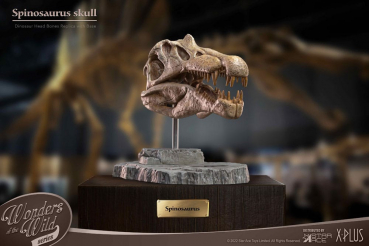 Spinosaurus Head Skull Statue Wonders of the Wild, 30 cm