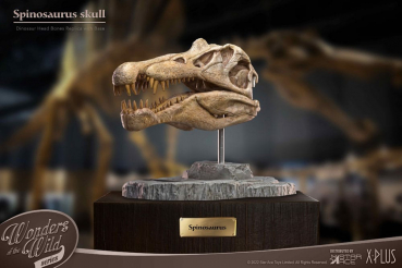 Spinosaurus Head Skull Statue Wonders of the Wild, 30 cm