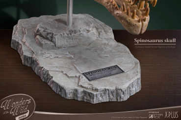 Spinosaurus Head Skull Statue Wonders of the Wild, 30 cm