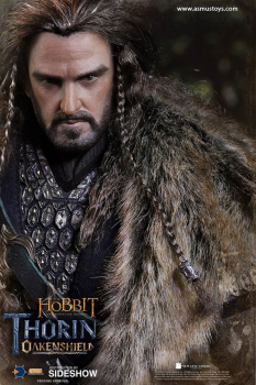 Thorin Eichenschild 1/6