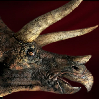 Triceratops Büste