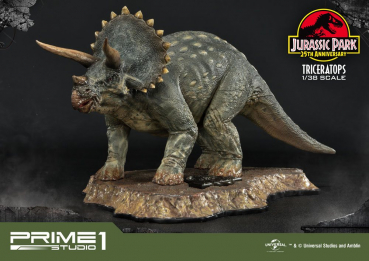 Triceratops