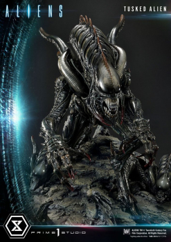 Tusked Alien (Bonus Ver.) Statue Premium Masterline Series, Aliens (Dark Horse Comics), 72 cm