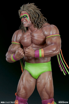 Ultimate Warrior