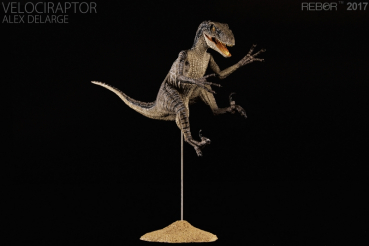 Velociraptor