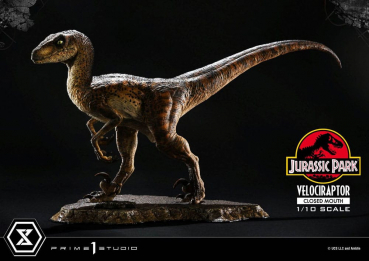 Velociraptor (Closed Mouth) Statue 1:10 Prime Collectibles, Jurassic Park, 19 cm