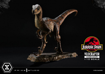 Velociraptor (Closed Mouth) Statue 1/10 Prime Collectibles, Jurassic Park, 19 cm