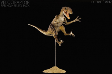 Velociraptor