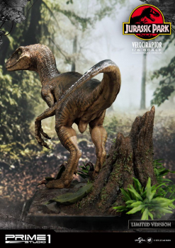 Velociraptor