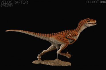 Velociraptor