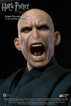 Voldemort Real Master Series