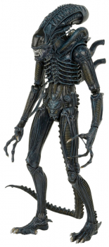 Aliens Warrior 1986