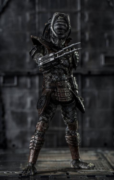 Warrior Predator