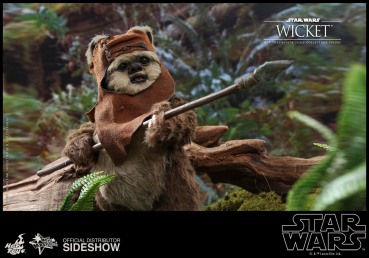 Wicket