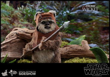 Wicket