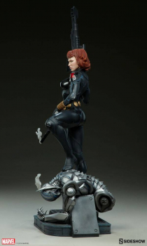 Black Widow Premium Format