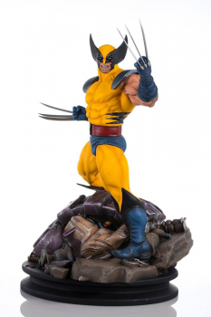 Wolverine PrototypeZ