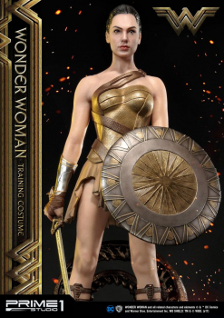 Wonder Woman Training Costume