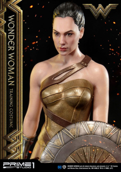 Wonder Woman Training Costume