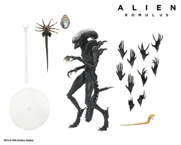 Ultimate Scorched Xenomorph Actionfigur, Alien: Romulus, 23 cm