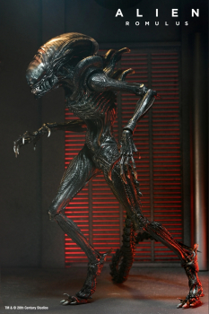 Ultimate Scorched Xenomorph Action Figure, Alien: Romulus, 23 cm