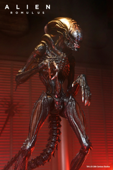 Ultimate Scorched Xenomorph Action Figure, Alien: Romulus, 23 cm