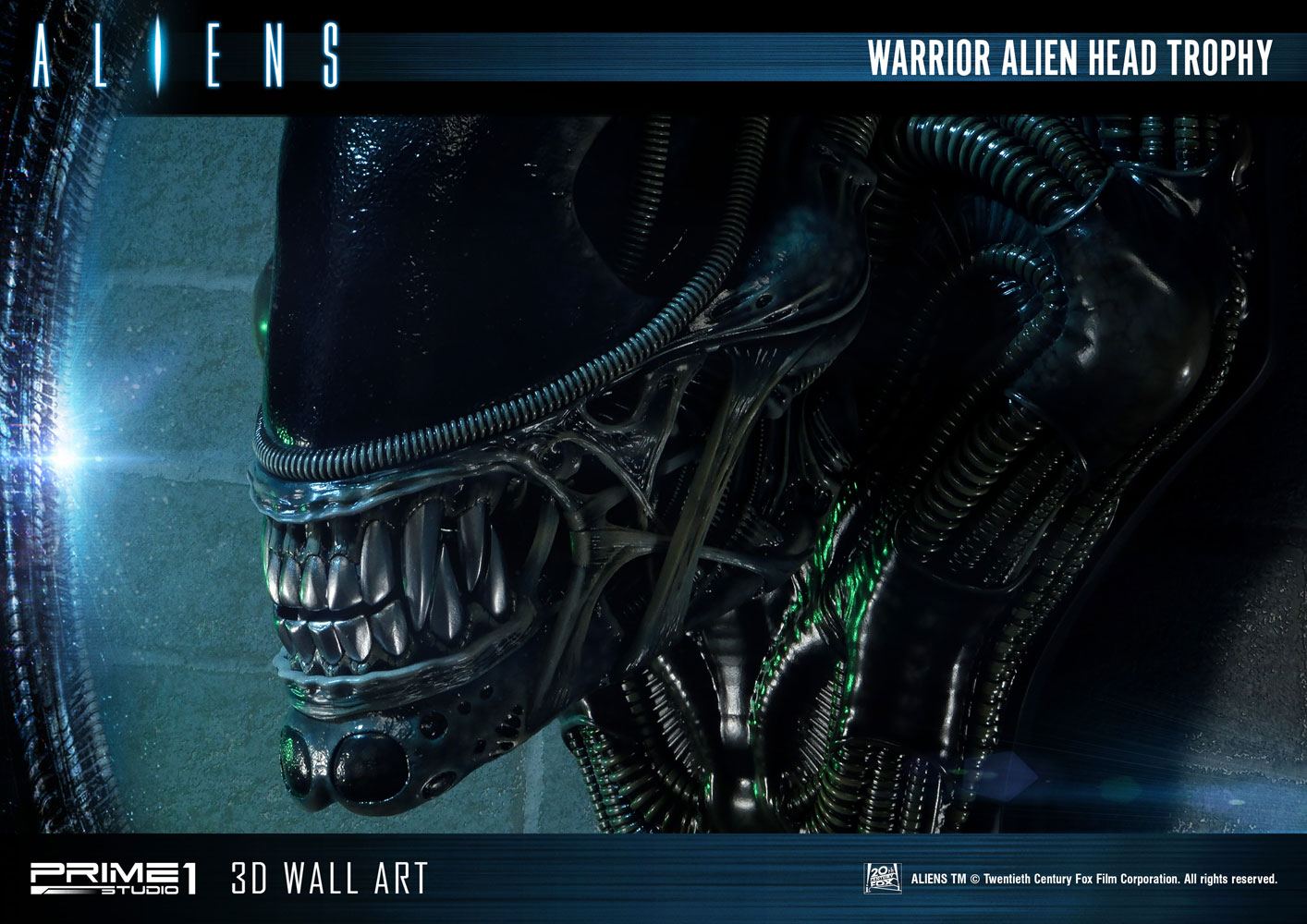 Alien Warrior Head Trophy 3D Wall Art, Aliens, 58 cm | BlacksBricks