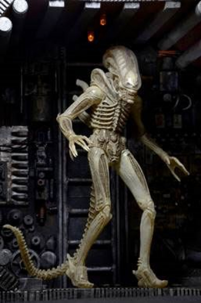 Alien 40th Anniversary