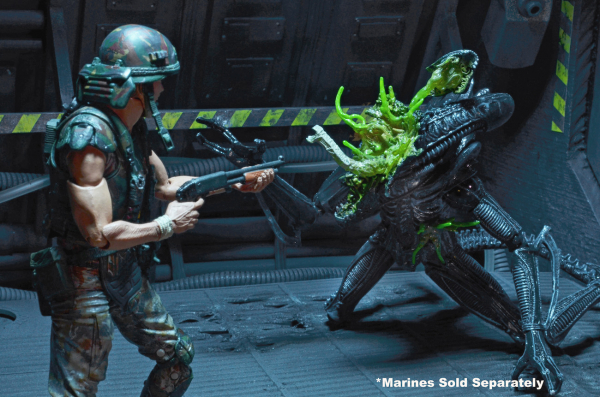 You Choose NECA Alien XENOMORPH or Lt. Ellen Ripley Action Figures -   Israel