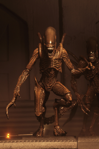 Alien Series 14